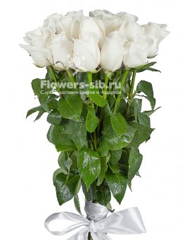 Белые розы - премиум